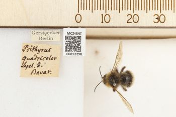 Media type: image;   Entomology 812298 Aspect: labels